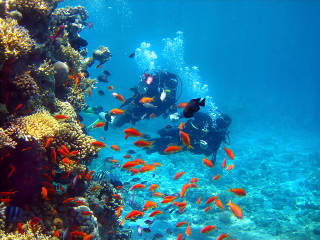 Scuba Diving in Japan: Diving into the Deep