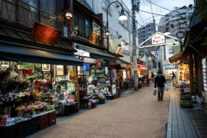 Yanaka street