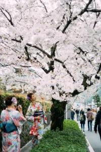 The Ultimate Family Guide to Exploring Tokyo with Kids