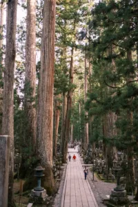 Immerse Yourself in Japan's Zen Retreat