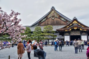 Exploring the Fascinating World of Japanese Royalty