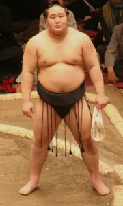 Discover the Fascinating World of Sumo Wrestling in Japan