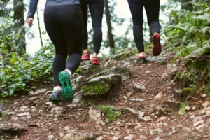 Take Your Running Off-Road: The Ultimate Guide to Trail Running in Japan